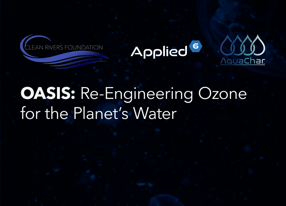 OASIS AQUABOT: Summary of Project Intentions, Process, and Goals